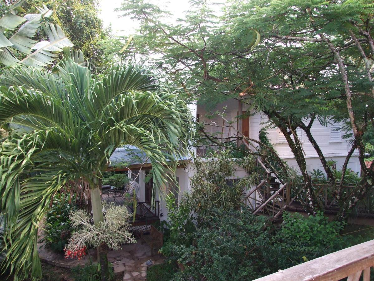 Bluebelize B&B Punta Gorda Εξωτερικό φωτογραφία