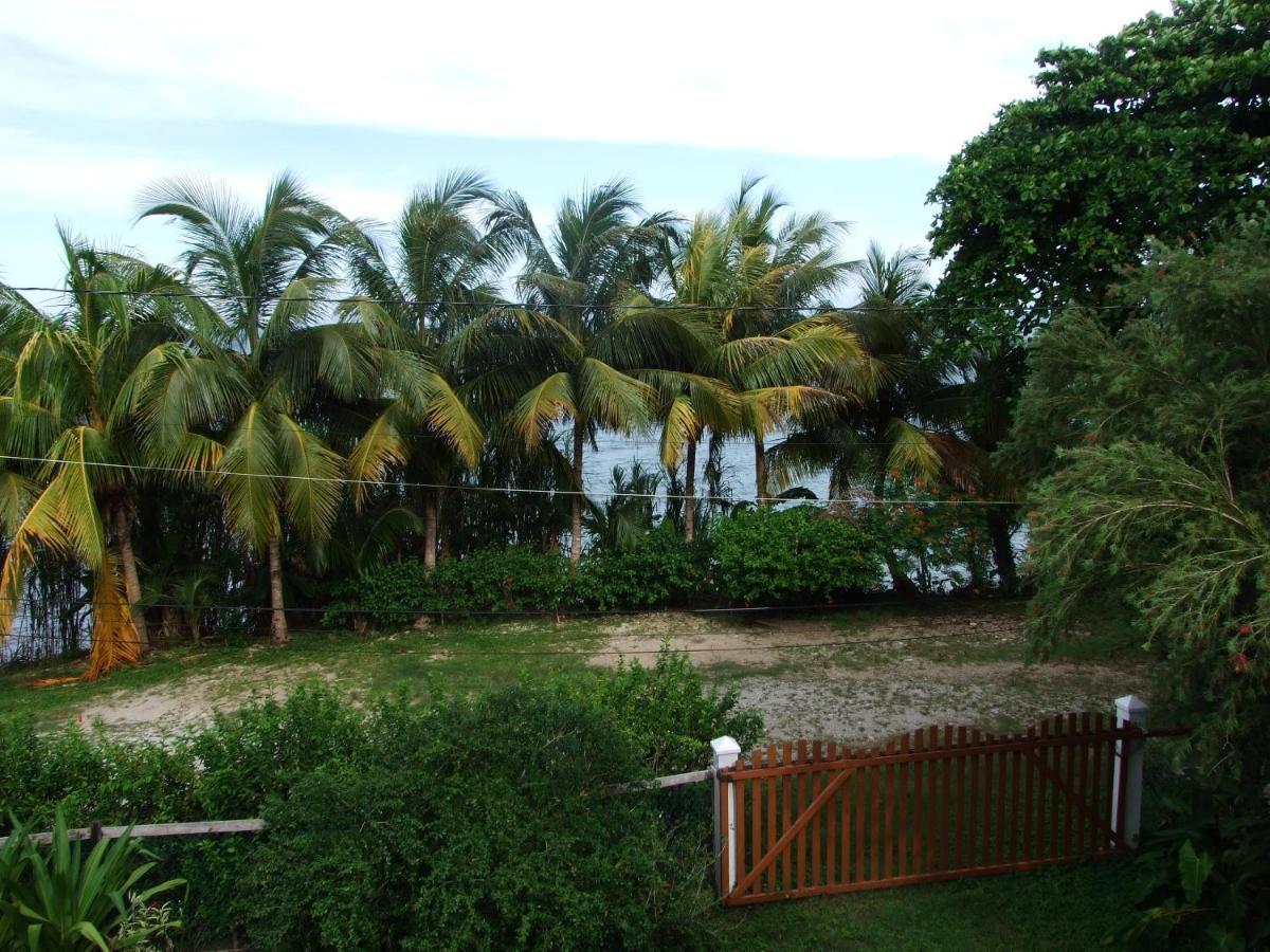 Bluebelize B&B Punta Gorda Εξωτερικό φωτογραφία
