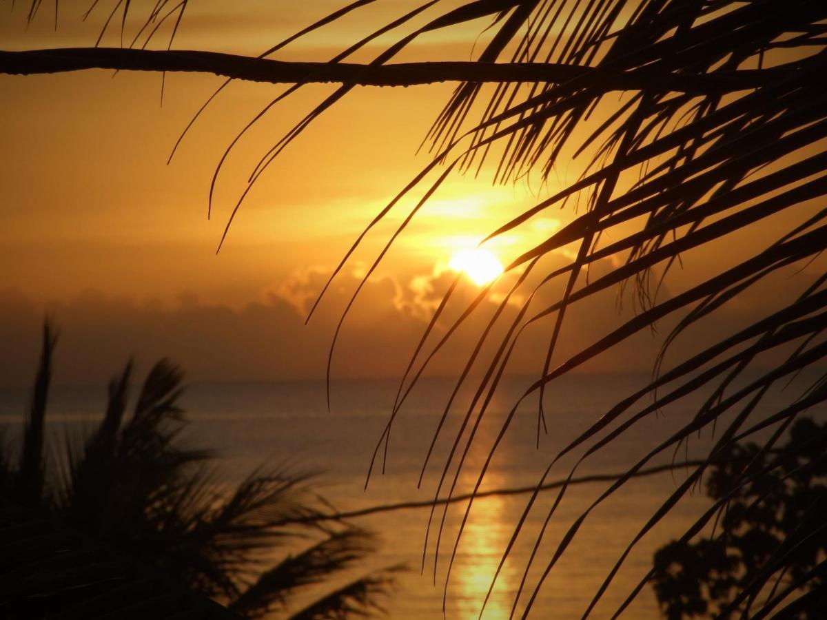 Bluebelize B&B Punta Gorda Εξωτερικό φωτογραφία