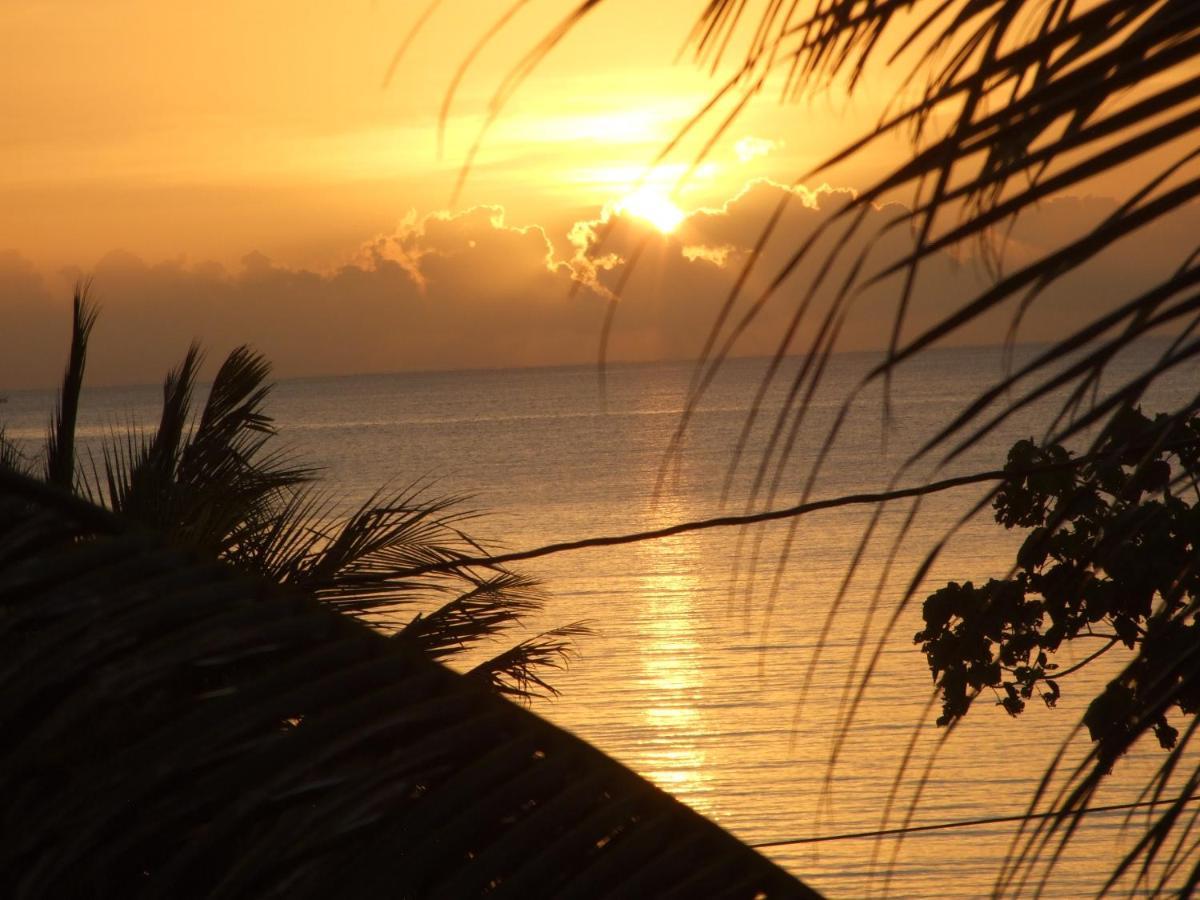 Bluebelize B&B Punta Gorda Εξωτερικό φωτογραφία