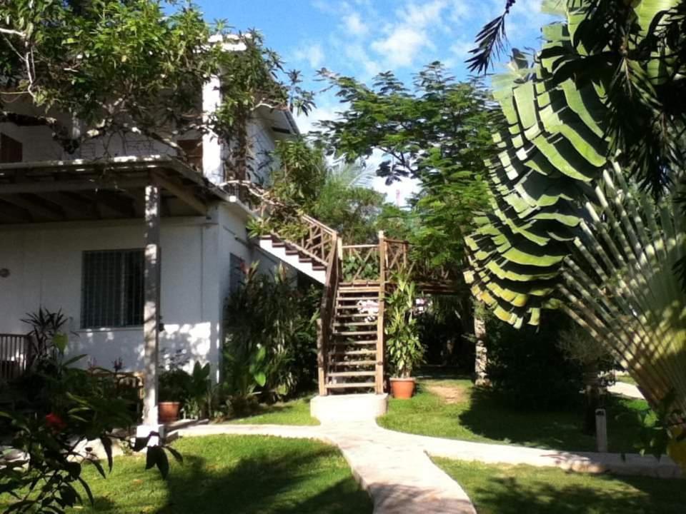 Bluebelize B&B Punta Gorda Εξωτερικό φωτογραφία